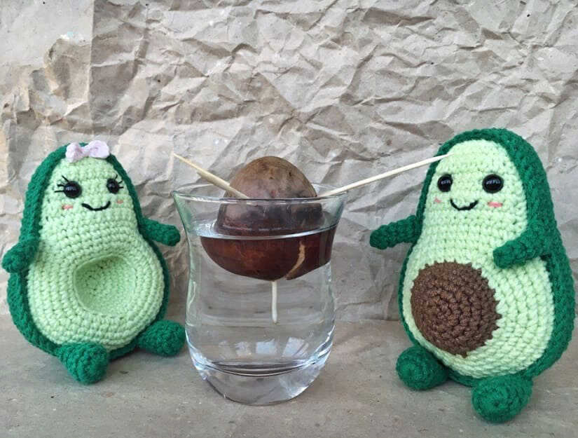 avocado couple amigurumi crochet cute plush toy free pattern